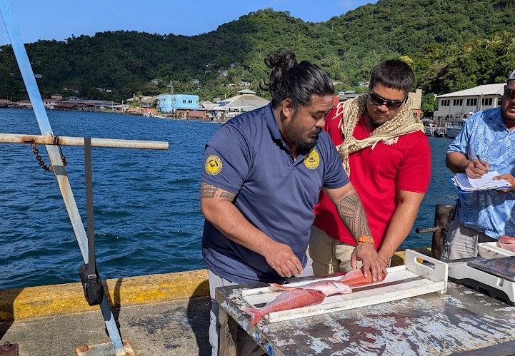 DMWR staff collecting data from freshly landed fish at the Pago Pago waterfront